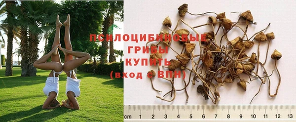 MDMA Premium VHQ Елабуга
