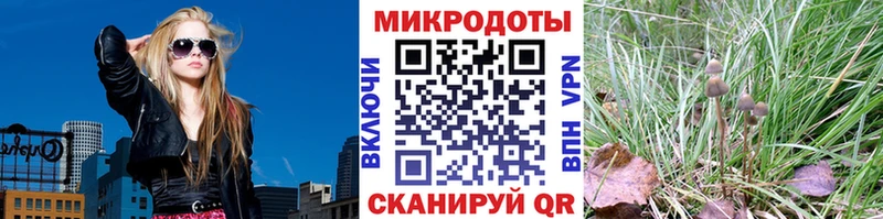 Купить где  Каменск-Уральский  Псилоцибиновые грибы Psilocybe 