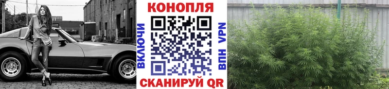 Купить где  Каменск-Уральский  Канабис SATIVA & INDICA 